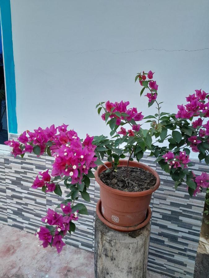 מלון Coveñas Playa Mag מראה חיצוני תמונה
